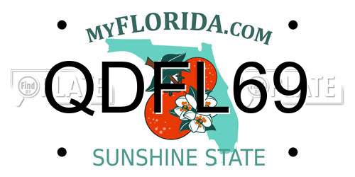 QDFL69 Florida License Plate