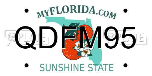 QDFM95 Florida License Plate