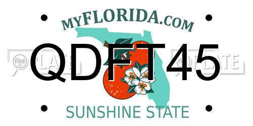 QDFT45 Florida License Plate