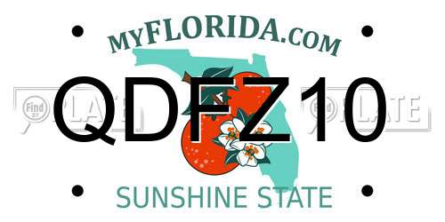 QDFZ10 Florida License Plate