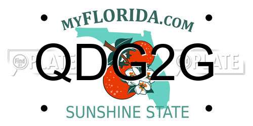 QDG2G Florida License Plate