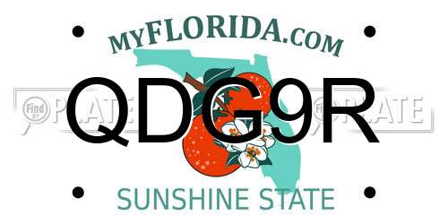 QDG9R Florida License Plate