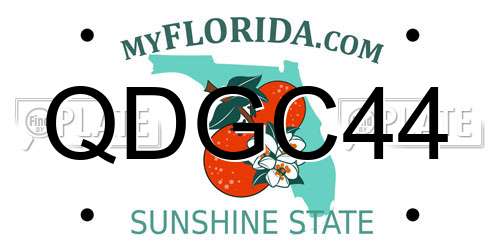 QDGC44 Florida License Plate