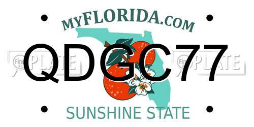 QDGC77 Florida License Plate
