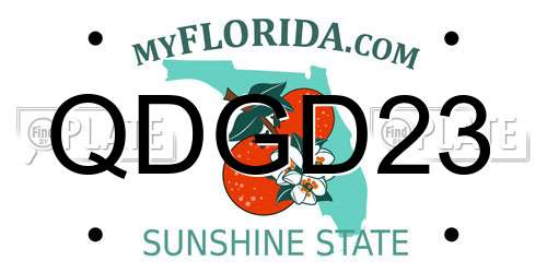 QDGD23 Florida License Plate