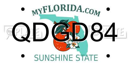 QDGD84 Florida License Plate