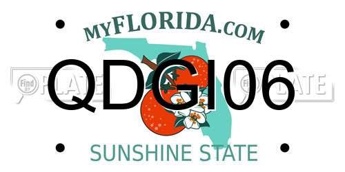 QDGI06 Florida License Plate