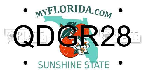 QDGR28 Florida License Plate