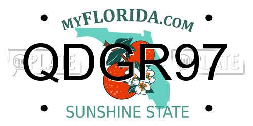 QDGR97 Florida License Plate