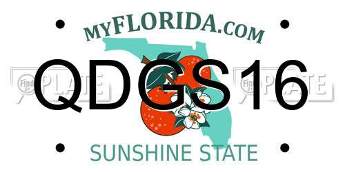 QDGS16 Florida License Plate