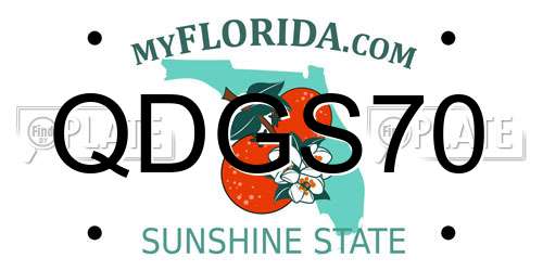 QDGS70 Florida License Plate