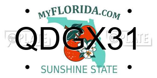 QDGX31 Florida License Plate