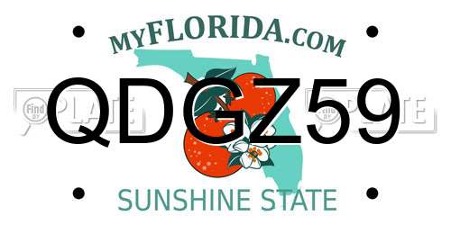 QDGZ59 Florida License Plate