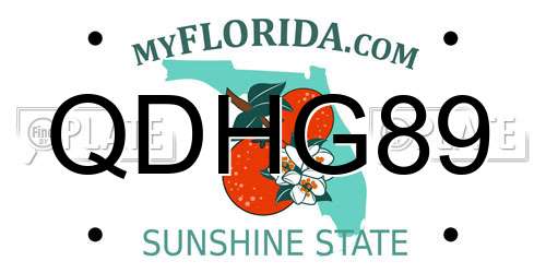 QDHG89 Florida License Plate
