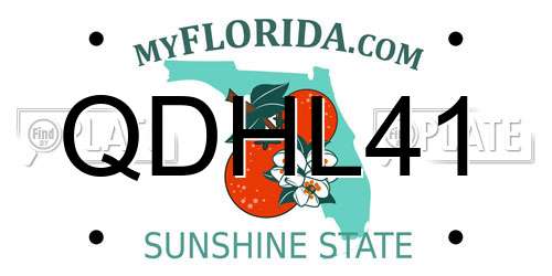 QDHL41 Florida License Plate