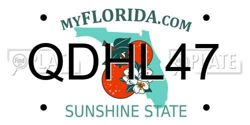 QDHL47 Florida License Plate
