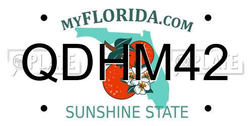 QDHM42 Florida License Plate