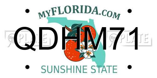 QDHM71 Florida License Plate