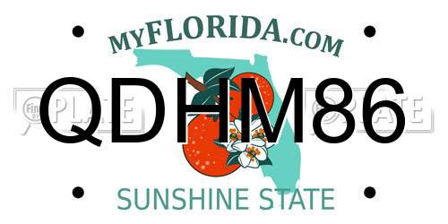 QDHM86 Florida License Plate