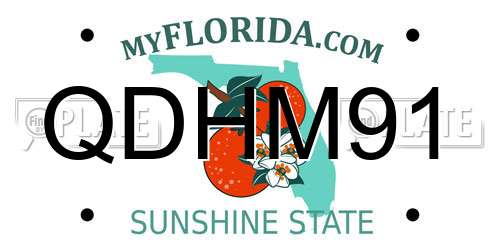 QDHM91 Florida License Plate