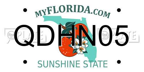 QDHN05 Florida License Plate