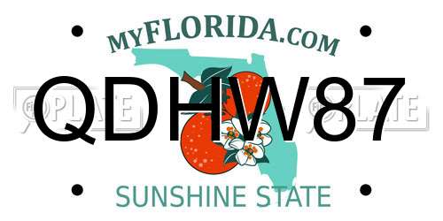 QDHW87 Florida License Plate