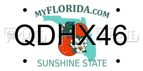 QDHX46 Florida License Plate
