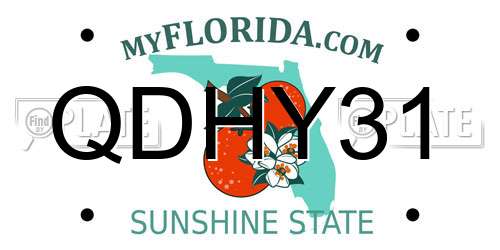 QDHY31 Florida License Plate