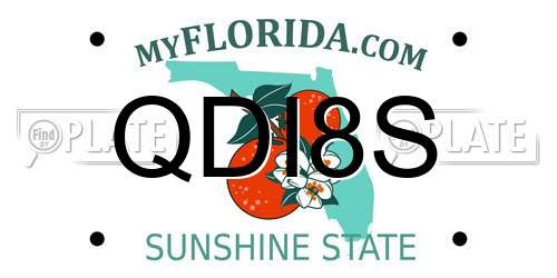 QDI8S Florida License Plate