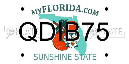 QDIB75 Florida License Plate