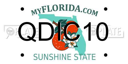 QDIC10 Florida License Plate