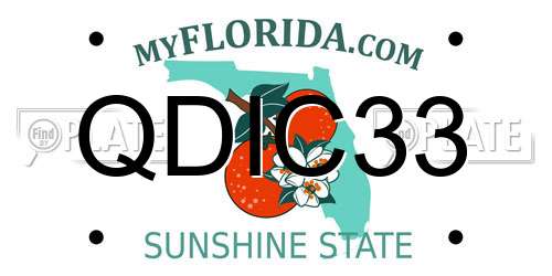 QDIC33 Florida License Plate