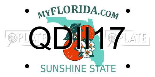 QDII17 Florida License Plate