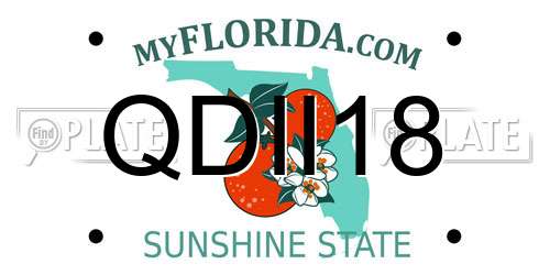 QDII18 Florida License Plate