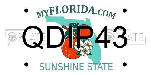 QDIP43 Florida License Plate