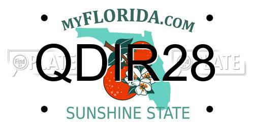 QDIR28 Florida License Plate