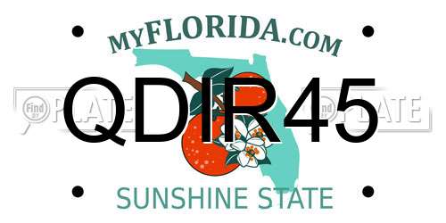 QDIR45 Florida License Plate