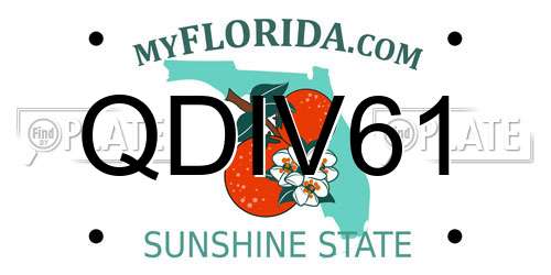 QDIV61 Florida License Plate