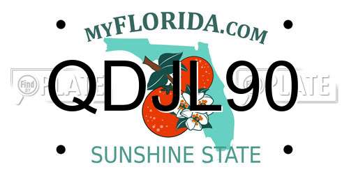 QDJL90 Florida License Plate
