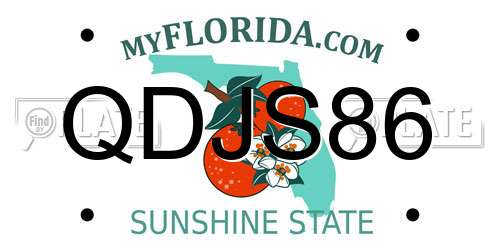 QDJS86 Florida License Plate