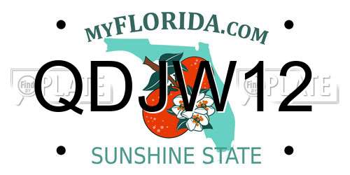 QDJW12 Florida License Plate
