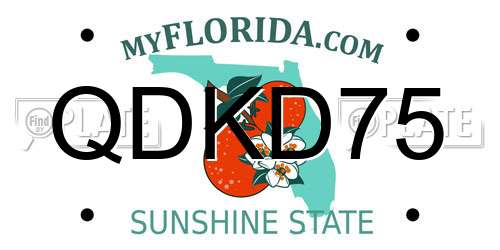 QDKD75 Florida License Plate