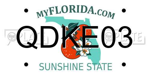 QDKE03 Florida License Plate