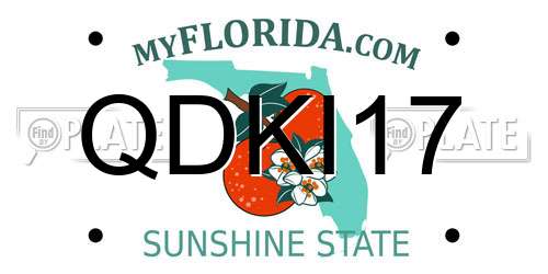 QDKI17 Florida License Plate