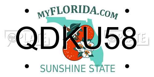 QDKU58 Florida License Plate