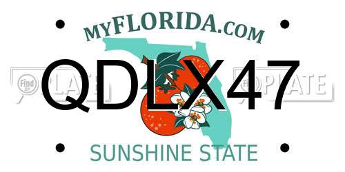 QDLX47 Florida License Plate