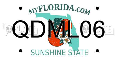 QDML06 Florida License Plate