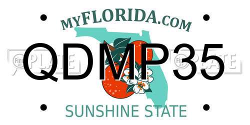 QDMP35 Florida License Plate