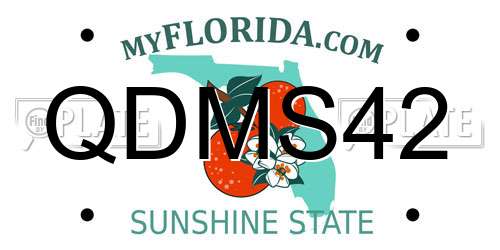 QDMS42 Florida License Plate