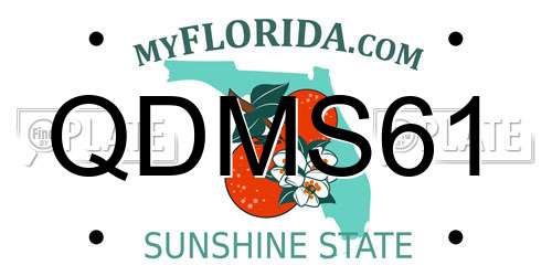 QDMS61 Florida License Plate